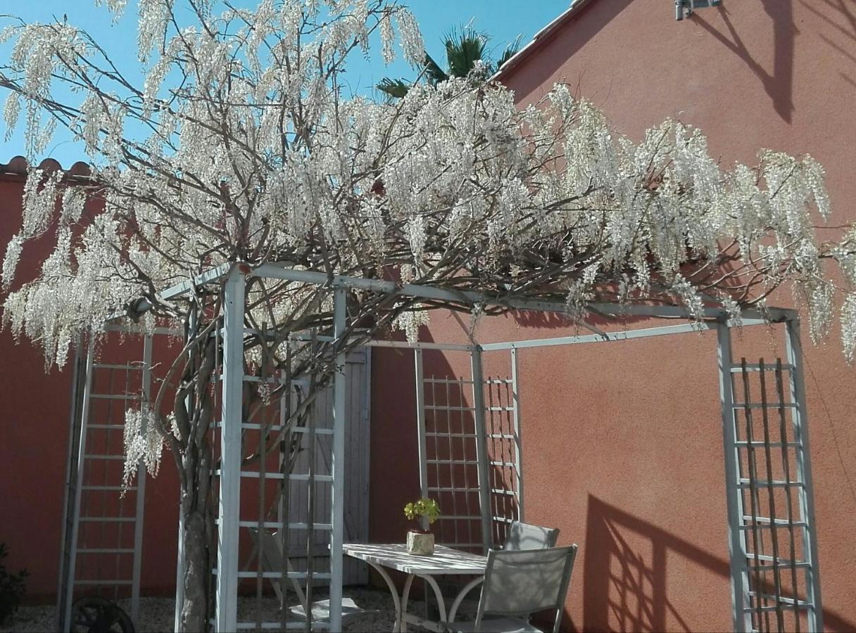 Gite Mas Uranie Le Soler Exterior foto